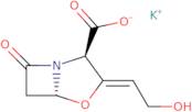 Potassium clavulanate - mixture with Amoxicillin Trihydrate