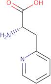 3-(2-Pyridyl)-L-alanine