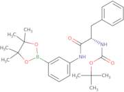 {2-Phenyl-1-[3-(4,4,5,5-tetramethyl-[1,3,2]dioxaborolan-2-yl)-phenylcarbamoyl]-ethyl}-carbamic aci…