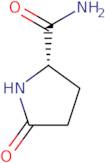 L-Pyroglutamamide