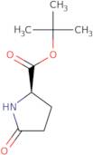 D-Pyroglutamic acid tert-butyl ester