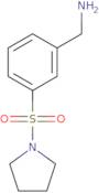 (3-(Pyrrolidin-1-ylsulfonyl)phenyl)methanamine