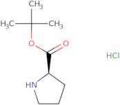 D-Proline tert-butyl ester hydrochloride
