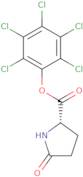 L-Pyroglutamic acid pentachlorophenyl ester