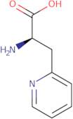 3-(2-Pyridyl)-D-alanine