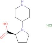 4-Piperidino-L-proline HCl