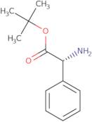 D-Phenylglycine tert-butyl ester hydrochloride