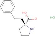 (R)-a-Phenethylproline·HCl