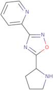 2-(5-Pyrrolidin-2-Yl-[1,2,4]Oxadiazol-3-Yl)-Pyridine