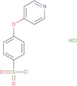 (4-(4-Pyridyloxy)phenyl)sulfonylchloride hydrochloride