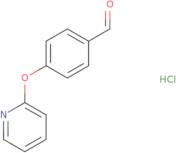 4-(Pyridin-2-Yloxy)Benzaldehyde Hydrochloride