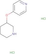 4-(Piperidin-3-Yloxy)Pyridine Dihydrochloride