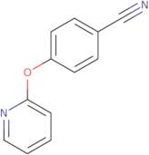 4-(Pyridin-2-yloxy)benzonitrile