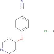 4-(Piperidin-4-yloxy)-benzonitrile hydrochloride salt