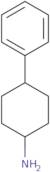 4-Phenyl-cyclohexylamine