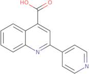 2-Pyridin-4-yl-quinoline-4-carboxylic acid