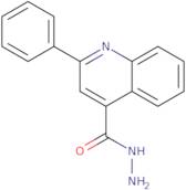 2-Phenylquinoline-4-carbohydrazide