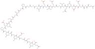 C-Peptide, human