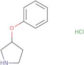 3-phenoxypyrrolidine hydrochloride