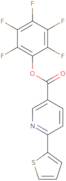Pentafluorophenyl 6-(2-thienyl)nicotinate