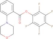 Pentafluorophenyl 2-(4-morpholinyl)benzoate