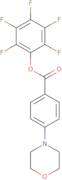 Pentafluorophenyl 4-(4-morpholinyl)benzoate