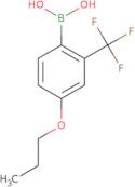 4-Propoxy-2-(trifluoroMethyl)phenylboronic acid