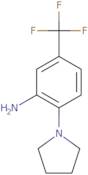 2-(1-Pyrrolidinyl)-5-(Trifluoromethyl)-Benzenamine