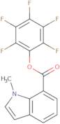 Pentafluorophenyl 1-methyl-1H-indole-7-carboxylate