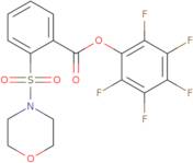 Pentafluorophenyl 2-(4-morpholinylsulfonyl)benzoate