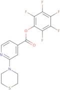 Pentafluorophenyl 2-(4-thiomorpholinyl)isonicotinate