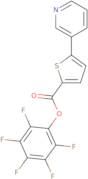 Pentafluorophenyl 5-(3-pyridinyl)-2-thiophenecarboxylate