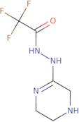 N-[(2Z)-Piperazin-2-ylidene]-2,2,2-trifluoroacetohydrazide