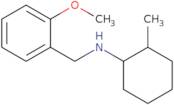 (2-Methoxybenzyl)(2-methylcyclohexyl)amine