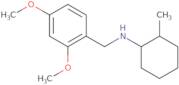 (2,4-Dimethoxybenzyl)(2-methylcyclohexyl)amine