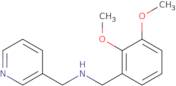 (2,3-Dimethoxy-benzyl)-pyridin-3-ylmethyl-amine