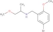 (5-Bromo-2-methoxybenzyl)(2-methoxy-1-methylethyl)amine