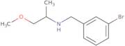 (3-Bromobenzyl)(2-methoxy-1-methylethyl)amine