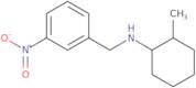 (2-Methylcyclohexyl)(3-nitrobenzyl)amine