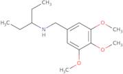 (1-Ethylpropyl)(3,4,5-trimethoxybenzyl)amine