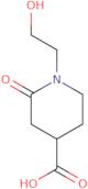 1-(2-Hydroxyethyl)-2-oxopiperidine-4-carboxylic acid