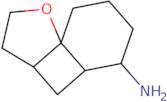 2-Oxatricyclo[5.4.0.0,1,5]undecan-8-amine