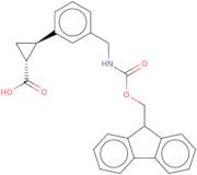 rac-(1R,2R)-2-{3-[({[(9H-Fluoren-9-yl)methoxy]carbonyl}amino)methyl]phenyl}cyclopropane-1-carbox...