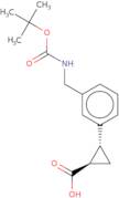 rac-(1R,2R)-2-[3-({[(tert-Butoxy)carbonyl]amino}methyl)phenyl]cyclopropane-1-carboxylic acid