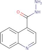 Quinoline-4-carboxylic acid hydrazide