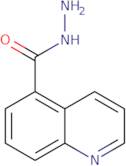 Quinoline-5-carboxylic acid hydrazide