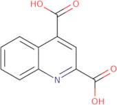 Quinoline 2,4-dicarboxylic acid