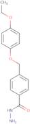 4-(4-Ethoxyphenoxymethyl)benzohydrazide