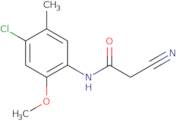 N-(4-Chloro-2-methoxy-5-methylphenyl)-2-cyanoacetamide