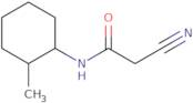 2-Cyano-N-(2-methylcyclohexyl)acetamide